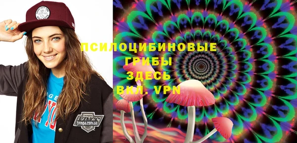 твердый Осташков