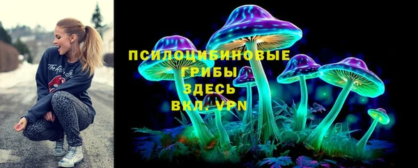 гидропоника Алексеевка
