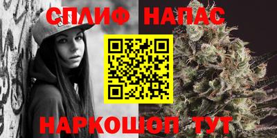 Альфа ПВП Новодвинск