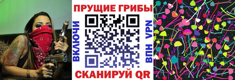 кракен онион  Светлоград  Псилоцибиновые грибы Cubensis 