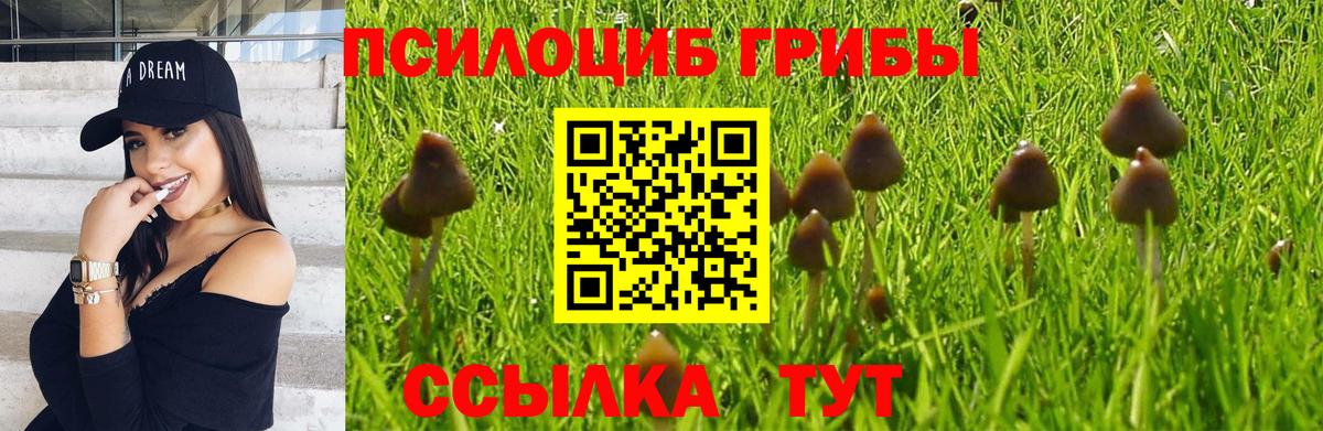 Светлоград  Псилоцибиновые грибы Magic Shrooms  Вход с VPN 